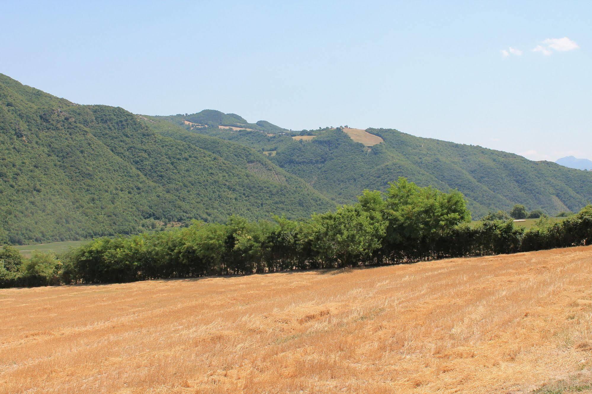 Degli Orti *