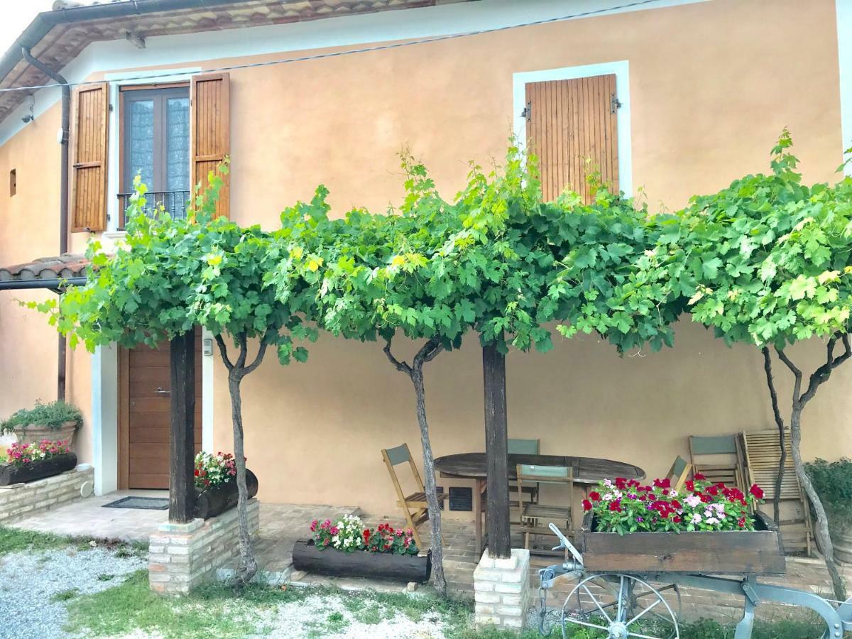 Degli Orti